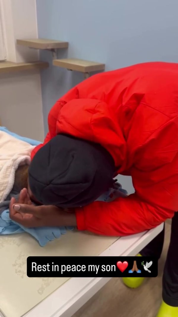 巴舒亚伊深情告别因车祸离世的爱猫：安息吧，我的女儿